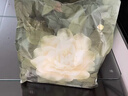 babycare皇室狮子王国弱酸纸尿裤箱装XL60片(12-17kg)婴儿尿不湿透气亲肤 实拍图