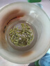 京东京造鲜来多26新茶信阳毛尖绿茶250g明前茶叶栗香嫩芽送礼盒自己喝自营 实拍图