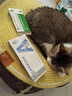 辉鹏猫鼻支雾化药猫咪杯状狗感冒肺炎喷嚏咳嗽窝咳宠物雾化液治疗套餐 （庆大+地米+氨茶碱）* 10支*1盒 宠物雾化药 实拍图
