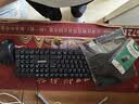 华硕（ASUS） 品牌【14代酷睿i7】台式电脑主机独显商务办公家用游戏设计渲染政府企业大额补贴电脑整机全套 二：14代酷睿i5+16G+1T+4G旗舰独显 华硕全新主机+WIFI6 实拍图