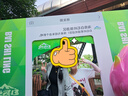 李森【口袋自拍杆】迷你自拍杆2026新款手机支架演唱会拍照神器mini三脚架防抖多功能 实拍图