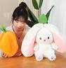 尚韵儿童情人节新年生日礼物女生草莓兔子玩偶娃娃毛绒玩具女孩公仔 实拍图