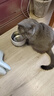 鲜朗主食猫条磷虾三文鱼油营养全价成猫幼猫湿粮无添加非零食补水湿粮 混合口味【12g/支】 12支【尝鲜装】 实拍图