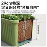 原起点种菜专用盆蔬菜种植箱家用神器大号花盆长方形条塑料户外庭院阳台 【3个】70*40*30cm带轮视窗款-绿 升级款第三代 实拍图