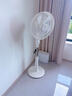 先锋（SINGFUN）电风扇落地扇家用风扇专利双风叶大风力电扇客厅宿舍可定时26A 实拍图