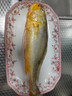 三都港 冷冻黄花鱼700g/2条装 宁德大黄鱼 深海鱼 生鲜 鱼类 海鲜水产 实拍图