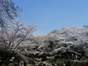 高漫1060pro 数位板可连接手机手绘板电脑绘画板手写板写字板电子绘图板 实拍图