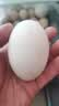 百世富泽（BAISHIFUZE）【百世富泽】黄河滩大鹅蛋新鲜正宗土鹅蛋农家自养孕妇超大鹅蛋 12枚130-150克 实拍图