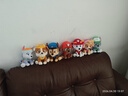 汪汪队立大功（PAW PATROL）毛绒玩具狗狗陪睡玩偶经典款小号坐姿可爱公仔男女孩生日礼物 实拍图