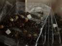 福东海红豆薏米茶搭男性祛湿茶340克【三蒸三晒】 赤小豆芡实茯苓炒熟茶 实拍图