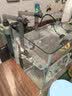 创星鱼缸乌龟缸过滤器壁挂式循环泵三合一增氧水泵吸污低水位小过滤桶 【二层过滤·5W】适30cm内鱼缸 含滤材 晒单实拍图