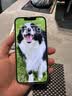 Apple/苹果/苹果 iPhone 17e 【需当面激活】支持移动联通电信 5G 双卡双待苹果 17e 手机 浅粉色 256GB 官方标配 实拍图