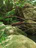三角（Triangle） 轮胎/汽车轮胎 165/65R15 81H TE307a 适配零跑T03/黑猫/白猫 实拍图