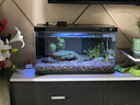 米家智能桌面鱼缸小米生态鱼缸小型智能专业背滤一体缸自循环 实拍图