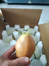 精选红香酥梨新鲜水果当季薄皮特级香梨青皮酥梨脆蜜雪梨整箱包邮 精选中果净重5斤 实拍图