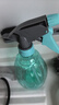 喷壶浇花浇水喷雾器气压式喷水壶家用园艺养花500ml 南瓜喷壶透蓝【2个装】 实拍图