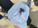 宜思家（YISIJIA）日式马桶刷家用无死角厕所刷子新款壁挂卫生间长柄洁厕刷 1只装【赠挂钩】 实拍图
