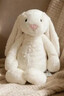 Jellycat害羞乳白色邦尼兔动物毛绒玩偶安抚玩偶娃娃送礼生日礼物 害羞乳白色邦尼兔 Medium 实拍图