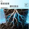 德沃多栀子花植物营养液花卉盆栽花肥料园艺养花氮肥磷肥液体肥600mL 实拍图