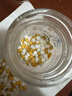 力生 维生素B2片 5mg*100片*5瓶 用于预防和治疗维生素B2缺乏症 口腔溃疡嘴巴上火起泡嘴唇干裂国药准字 实拍图