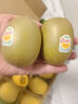 佳沛（zespri）新西兰阳光金果10个装单果重约103-114g 水果礼盒 猕猴桃 实拍图