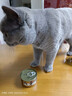 力狼猫罐头补水汤罐猫咪汤包幼猫成猫零食宠物食品猫湿粮 【7罐】鸡肉味补水罐85g 实拍图
