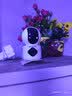 纽曼无线家用智能AI摄像头1200万高清监控器360度无死角带夜视全景语音手机远程对话讲室内外家庭云台 实拍图