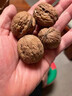 新疆特产新货红皮核桃薄壳红肉核桃天然坚果零食品官方正品 稀有红皮核桃500g【大补阳气】 实拍图