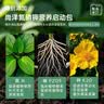 尚洋植物营养土通用种菜养花土壤盆栽种植土兰花多肉泥炭椰土15L 实拍图