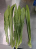 大成照烧味早餐腿排 1kg 鸡腿排炸鸡排 汉堡鸡排炸鸡 烧烤腿排 实拍图
