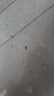 七匹狼秋裤男士纯棉秋冬贴身柔软舒适全棉抗菌保暖内衣线裤透气 实拍图