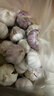 紫白皮蒜水果大蒜超市即食生鲜蔬菜大蒜 【优选】净重0.8斤 单果3.5-5cm 实拍图