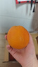 【礼盒】树熟奉节福橙2kg 单果140g+ 实拍图