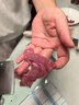 金小厨切肉器多功能切肉丝鲜肉片薄片家用厨房切肉神器-扶手款太空青柠 实拍图