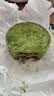 鲜京采抹茶生巧乳酪大饼4寸250g 蛋糕苦抹慕斯巧克力 实拍图