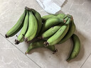 甜糯香蕉新鲜水果6号色食用最佳 青香蕉发货放软可吃放苹果催熟 甜糯香蕉带箱4斤 香甜软糯 实拍图
