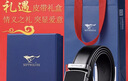 百威（BUDWEISER）淡色拉格 经典mini罐 聚会聚餐 节日送礼 255mL 24罐 6听*4或24听*1随机发 实拍图