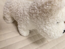 babycare&bct儿童毛绒玩具狗电子宠物哈基米玩偶节日生日新年礼物西高地犬 实拍图
