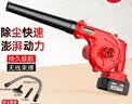德立士鼓风机工业吹风机吹灰机吹尘枪无线锂电充电式家用吹雪机 实拍图