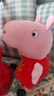 小猪佩奇玩偶毛绒玩具3岁公仔娃娃佩琪女孩生日礼物 实拍图