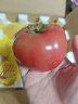 京鲜生 山东普罗旺斯番茄 净重4.5斤 单果125g+ 沙瓤西红柿 源头直发 实拍图