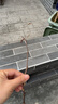 四万公里 蓝莓树苗优瑞卡果树树苗南北方种植阳台盆栽地栽苗源头直发包邮 实拍图