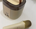 索爱（soaiy）SK2AI 话筒 麦克风 k歌麦克风音箱一体机无线蓝牙音响唱歌专用神器家庭ktv音响套装儿童一体麦克风 实拍图