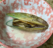 海鲜世家新西兰熟冻原汁全壳青口贝净含量1kg 21-26只/袋原装进口海鲜贝类 实拍图