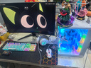 七彩虹（Colorful）海景房主机酷睿15代U5 245KF/i5 12490F搭RTX5060 5060TI电竞游戏设计办公电脑主机台式组装机 配二：12400F丨16G丨512G丨5060TI 实拍图