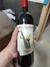 CANIS FAMILIARIS布多格原瓶进口红酒 西拉干红葡萄酒 750ml 单瓶装 实拍图