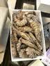 东上御品 塞拉利昂 斑节虾 海鲜水产 竹节虾 30-40只2斤净重-源头直发 实拍图