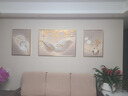 轻奢新款沙发背景墙装饰画寓意好大气高档三联画现代简约客厅挂画 金羽福禄（179187） 50*70*2/100*70*1水晶面 铝合金金框 实拍图