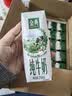 伊利【新鲜日期】金典纯牛奶早餐奶250ml*16 3.6g乳蛋白 礼盒装 3-4月 实拍图