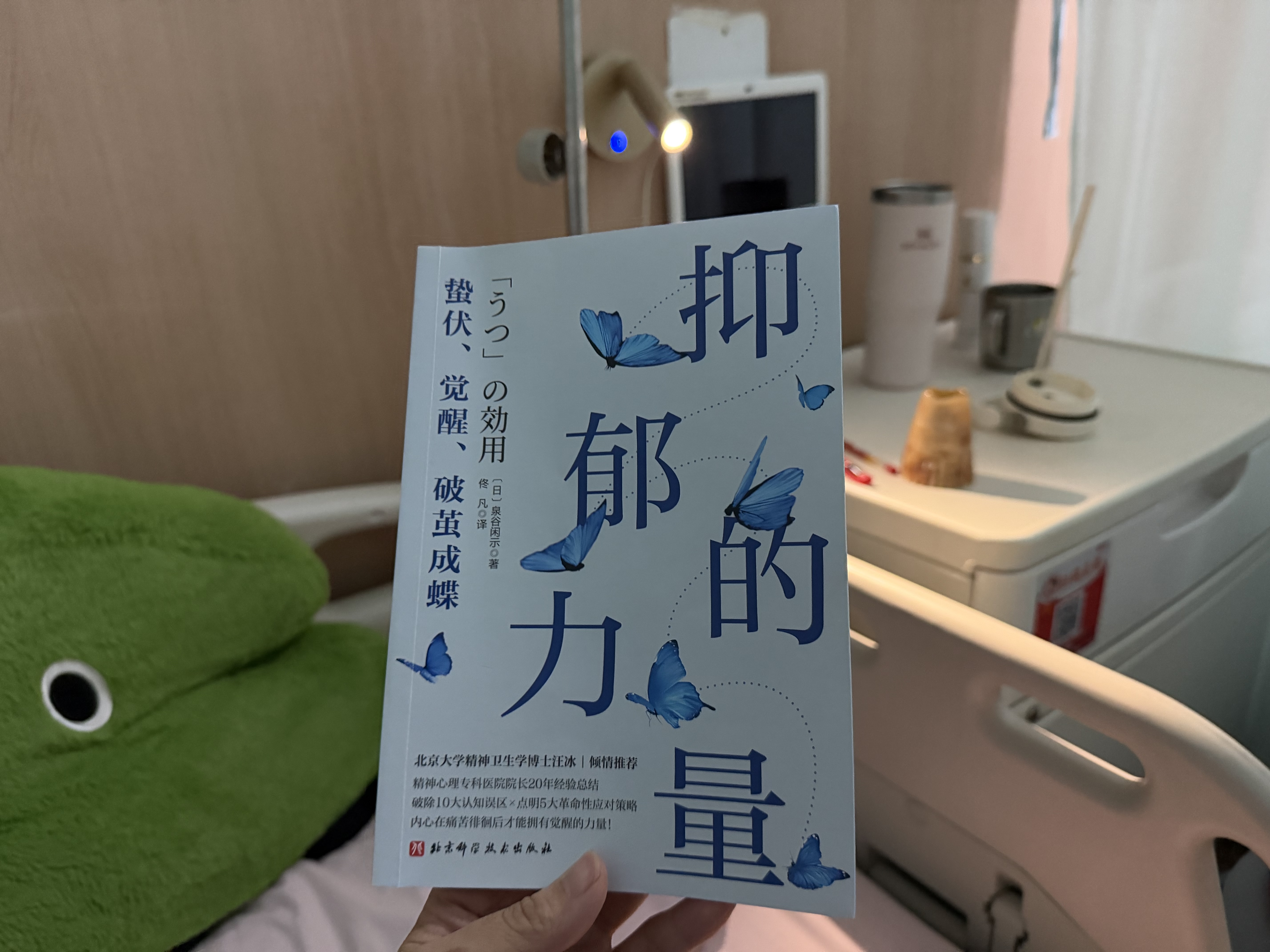 抑郁的力量 实拍图